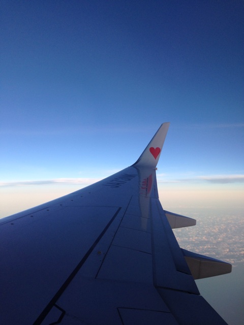 f:id:sara_y:20131214022931j:plain f:id:sara_y:20131214022931j:plain