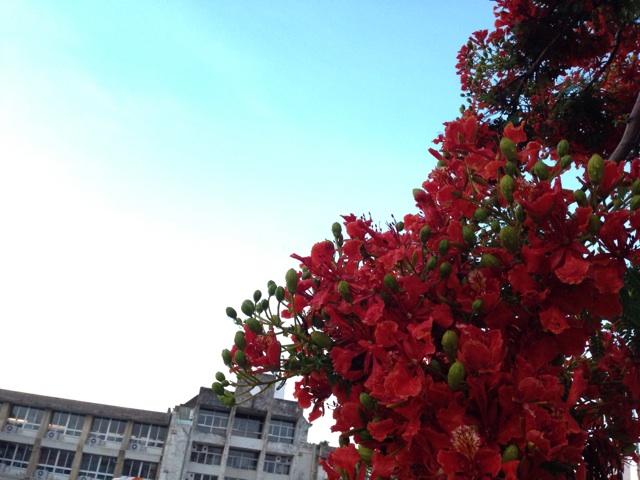 f:id:sara_y:20140107125513j:plain f:id:sara_y:20140107125513j:plain