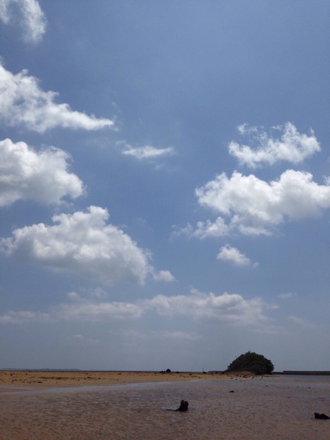 f:id:sara_y:20140113231051j:plain f:id:sara_y:20140113231051j:plain