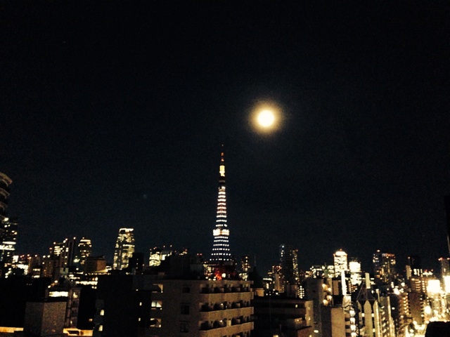 f:id:sara_y:20140326195153j:plain f:id:sara_y:20140326195153j:plain