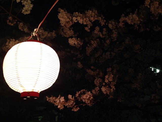 f:id:sara_y:20140330115823j:plain f:id:sara_y:20140330115823j:plain