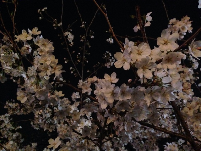 f:id:sara_y:20140330115853j:plain f:id:sara_y:20140330115853j:plain