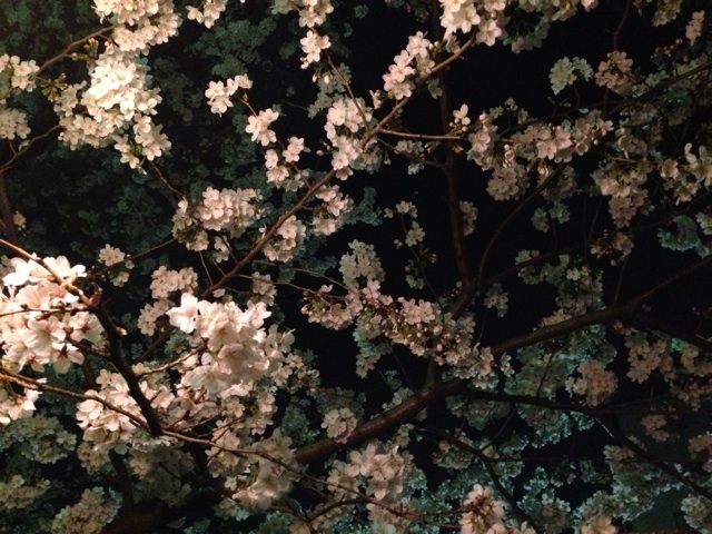 f:id:sara_y:20140330115951j:plain f:id:sara_y:20140330115951j:plain