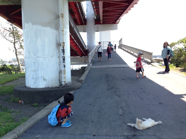 f:id:sara_y:20140429231629j:plain f:id:sara_y:20140429231629j:plain