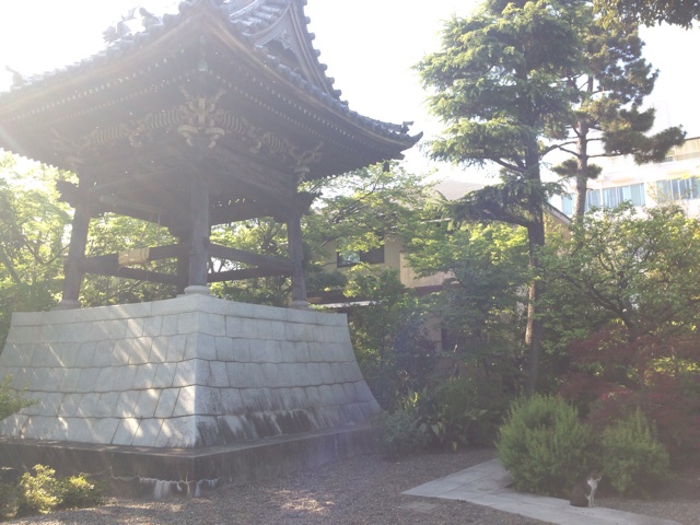 f:id:sara_y:20140429232332j:plain f:id:sara_y:20140429232332j:plain