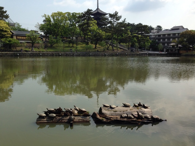 f:id:sara_y:20140521084221j:plain f:id:sara_y:20140521084221j:plain