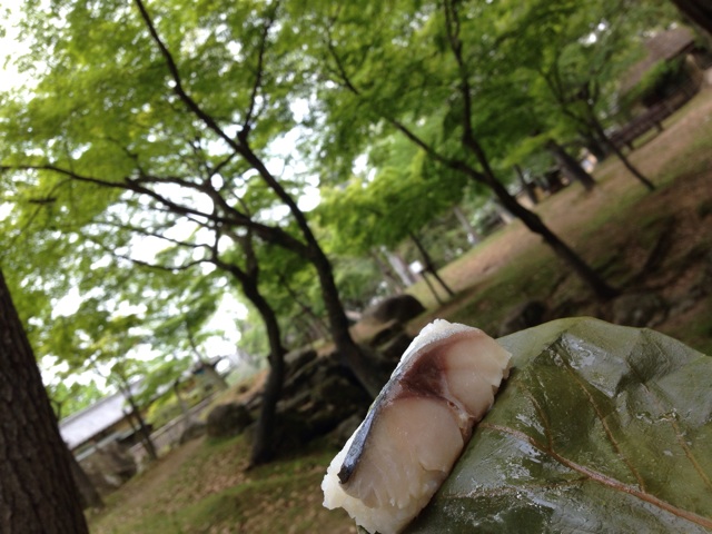 f:id:sara_y:20140521084310j:plain f:id:sara_y:20140521084310j:plain