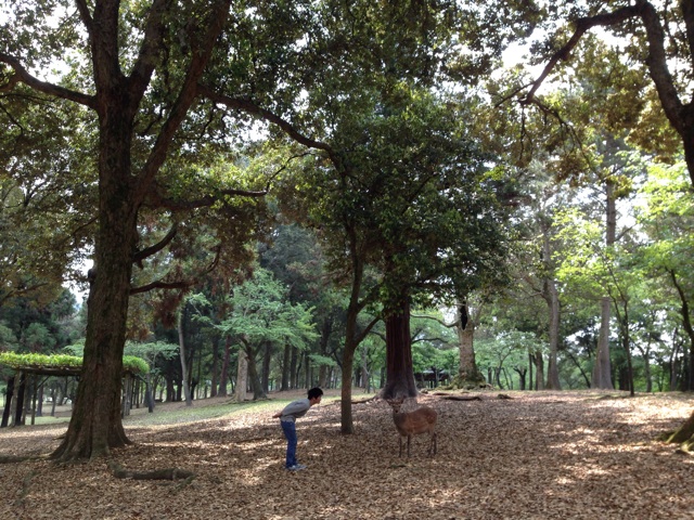 f:id:sara_y:20140522125751j:plain f:id:sara_y:20140522125751j:plain