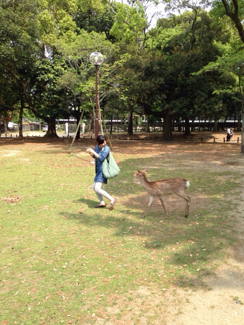 f:id:sara_y:20140522185128j:plain f:id:sara_y:20140522185128j:plain