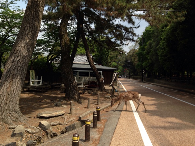 f:id:sara_y:20140522185204j:plain f:id:sara_y:20140522185204j:plain