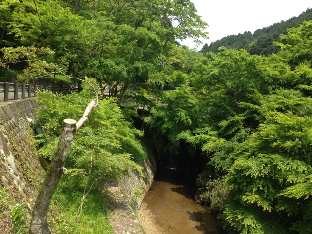 f:id:sara_y:20140522185308j:plain f:id:sara_y:20140522185308j:plain
