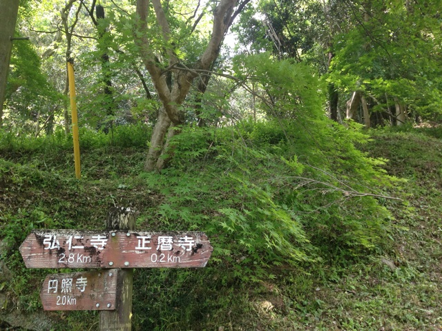 f:id:sara_y:20140522185406j:plain f:id:sara_y:20140522185406j:plain