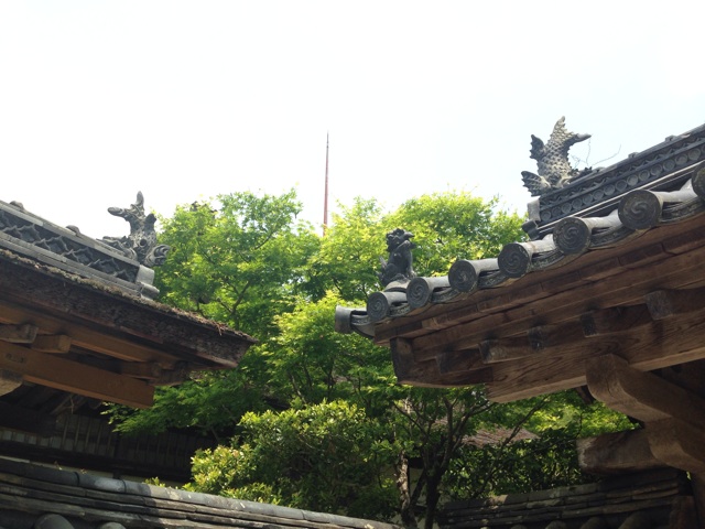 f:id:sara_y:20140522185501j:plain f:id:sara_y:20140522185501j:plain