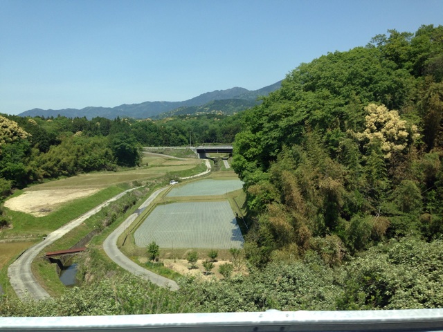 f:id:sara_y:20140525194410j:plain f:id:sara_y:20140525194410j:plain