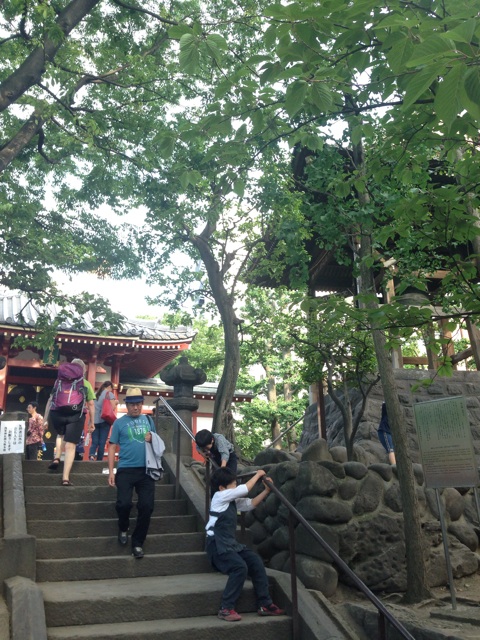 f:id:sara_y:20140606183731j:plain f:id:sara_y:20140606183731j:plain