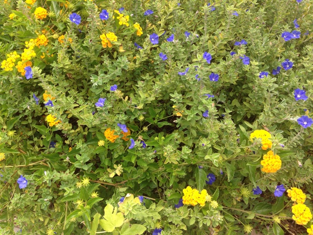 f:id:sara_y:20141006075355j:plain f:id:sara_y:20141006075355j:plain