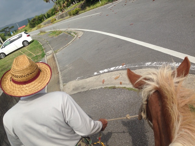 f:id:sara_y:20141101104946j:plain f:id:sara_y:20141101104946j:plain