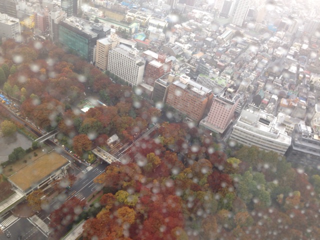 f:id:sara_y:20141126193352j:plain f:id:sara_y:20141126193352j:plain