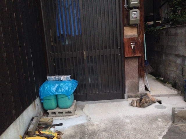 f:id:sara_y:20141218225512j:plain f:id:sara_y:20141218225512j:plain