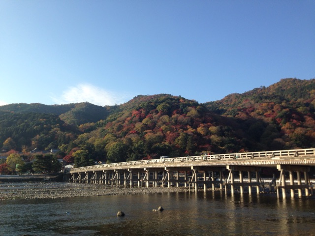 f:id:sara_y:20141228110635j:plain f:id:sara_y:20141228110635j:plain