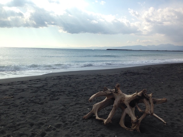 f:id:sara_y:20150117163215j:plain f:id:sara_y:20150117163215j:plain
