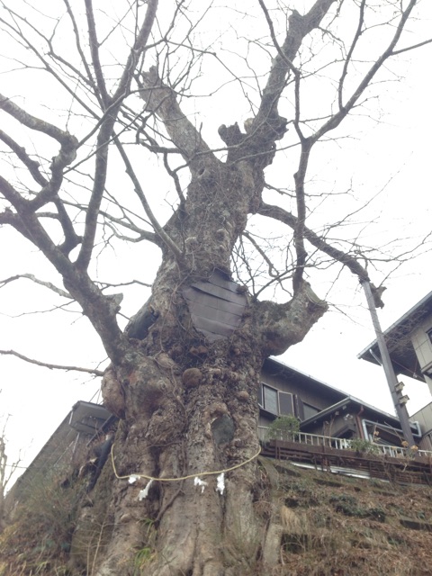 f:id:sara_y:20150314210506j:plain f:id:sara_y:20150314210506j:plain