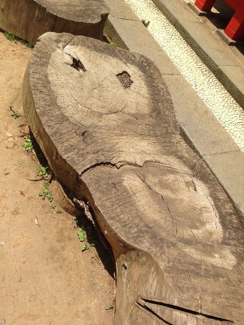 f:id:sara_y:20150703193255j:image f:id:sara_y:20150703193255j:image