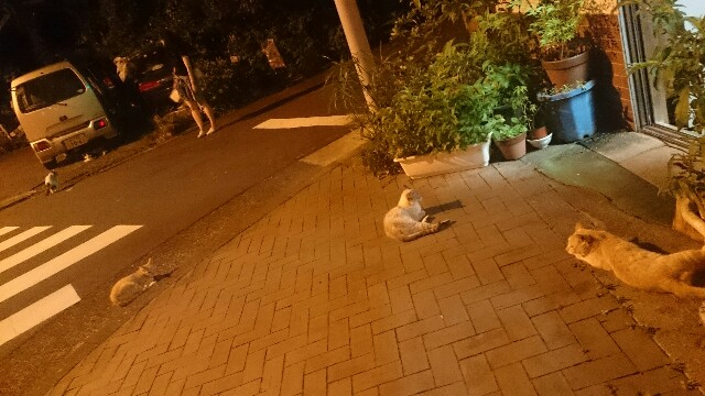 f:id:sara_y:20150913202307j:image f:id:sara_y:20150913202307j:image