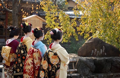 f:id:sarunokinobori:20101108111726j:plain f:id:sarunokinobori:20101108111726j:plain