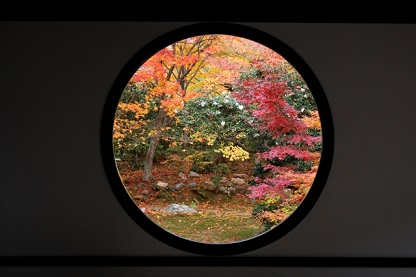 f:id:sarunokinobori:20101125132844j:plain f:id:sarunokinobori:20101125132844j:plain