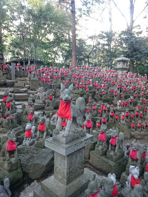 f:id:sasahake:20160129225336j:image f:id:sasahake:20160129225336j:image