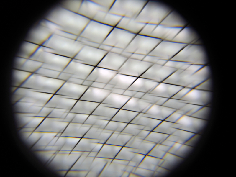 f:id:sashimi-fish1:20140729134850j:image:w250:right f:id:sashimi-fish1:20140729134850j:image:w250:right