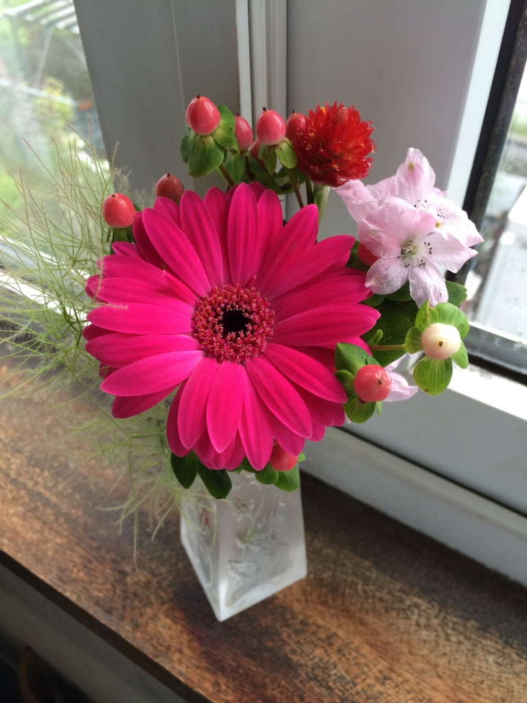 f:id:sassa482:20150627171806j:plain f:id:sassa482:20150627171806j:plain