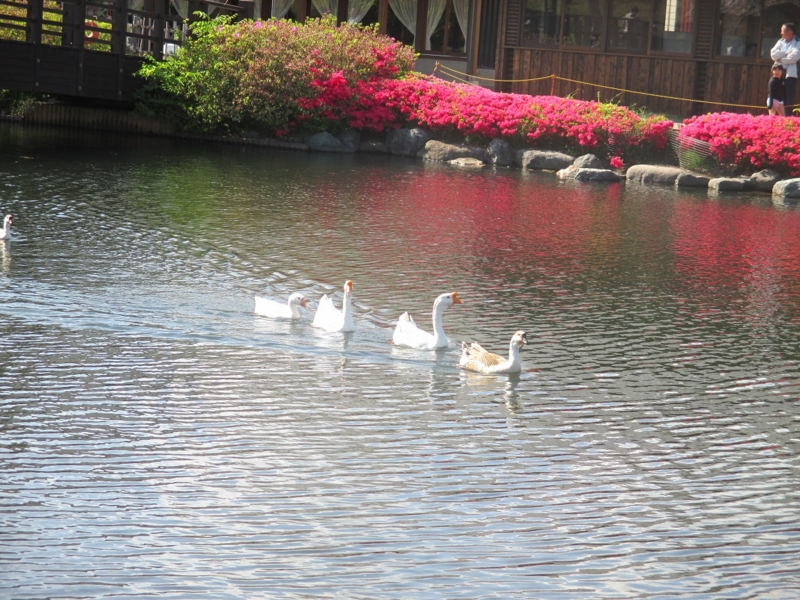 f:id:sasugami:20150513152759j:plain f:id:sasugami:20150513152759j:plain