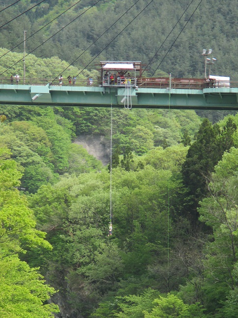 f:id:sasugami:20150604170005j:plain f:id:sasugami:20150604170005j:plain