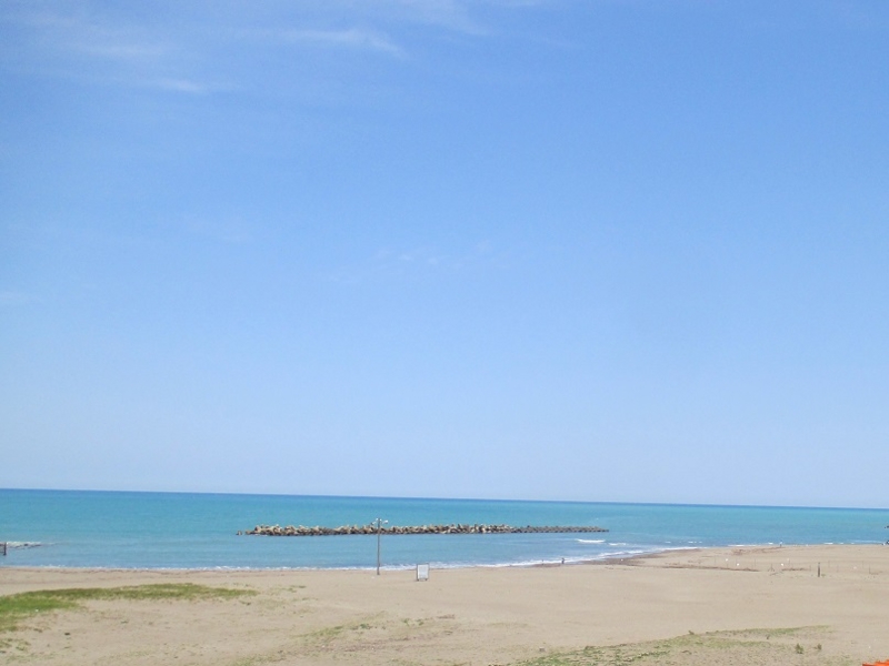 f:id:sasugami:20150611111346j:plain f:id:sasugami:20150611111346j:plain