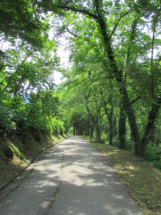 f:id:sasugami:20150611111353j:plain f:id:sasugami:20150611111353j:plain