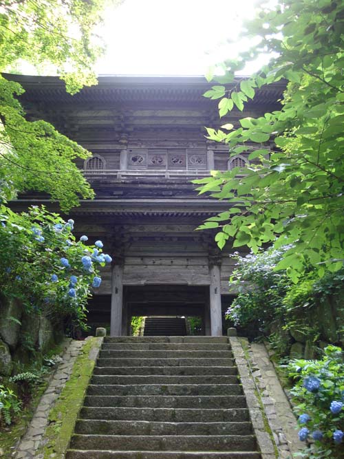 f:id:sasugami:20150613111013j:plain f:id:sasugami:20150613111013j:plain