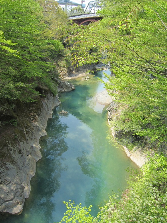 f:id:sasugami:20150617161818j:plain f:id:sasugami:20150617161818j:plain
