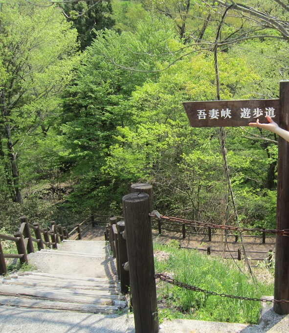 f:id:sasugami:20150617161835j:plain f:id:sasugami:20150617161835j:plain