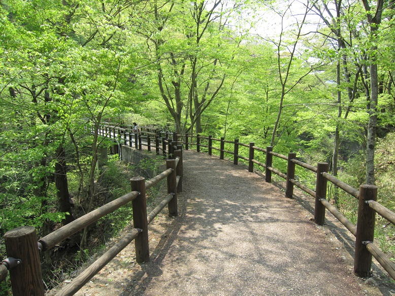 f:id:sasugami:20150617161901j:plain f:id:sasugami:20150617161901j:plain