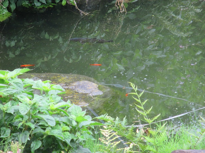 f:id:sasugami:20150619151446j:plain f:id:sasugami:20150619151446j:plain
