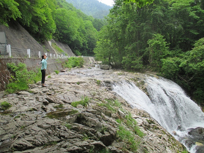 f:id:sasugami:20150620105940j:plain f:id:sasugami:20150620105940j:plain