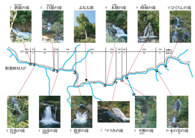 f:id:sasugami:20150620110022j:plain f:id:sasugami:20150620110022j:plain