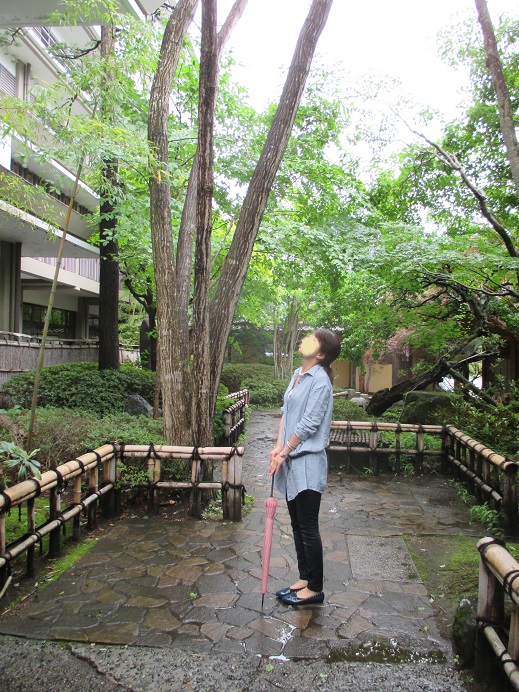 f:id:sasugami:20150621191712j:plain f:id:sasugami:20150621191712j:plain
