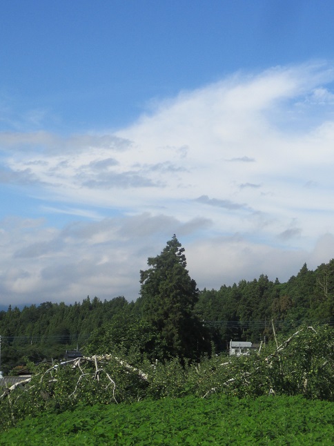 f:id:sasugami:20150701165330j:plain f:id:sasugami:20150701165330j:plain