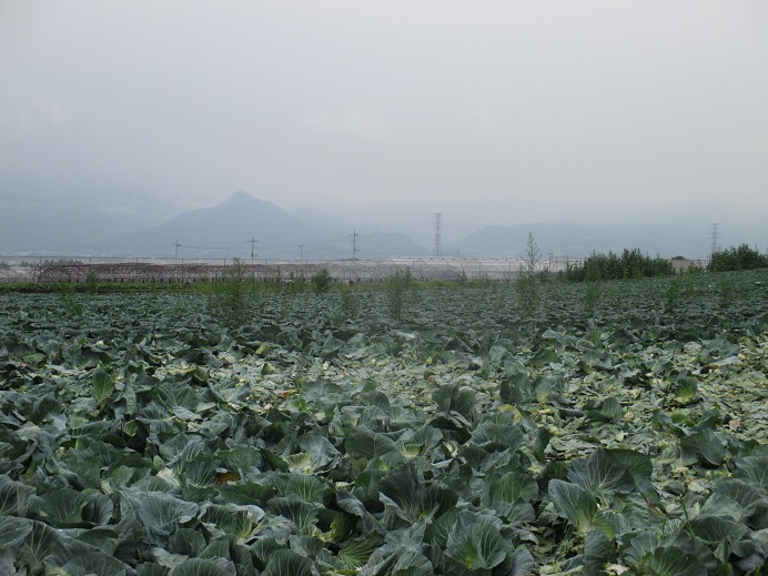 f:id:sasugami:20150703192926j:plain f:id:sasugami:20150703192926j:plain