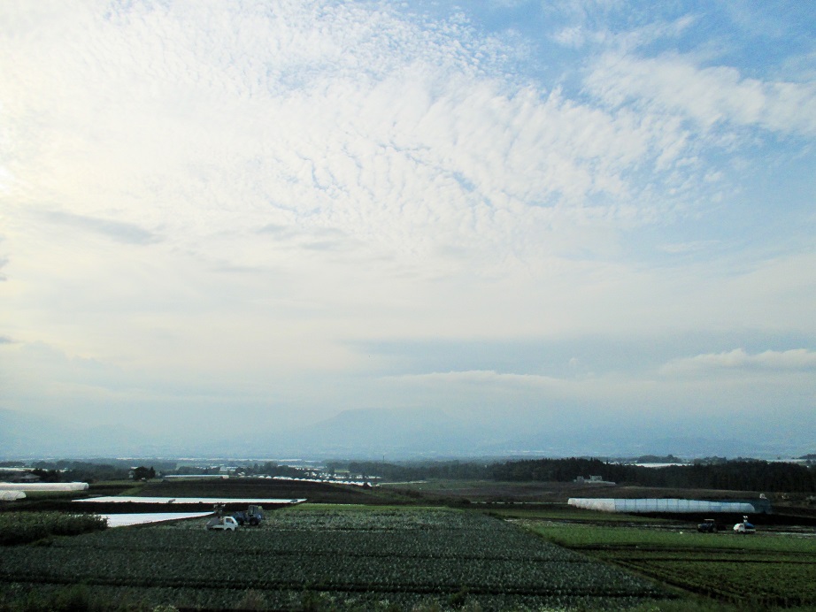 f:id:sasugami:20150705201127j:plain f:id:sasugami:20150705201127j:plain