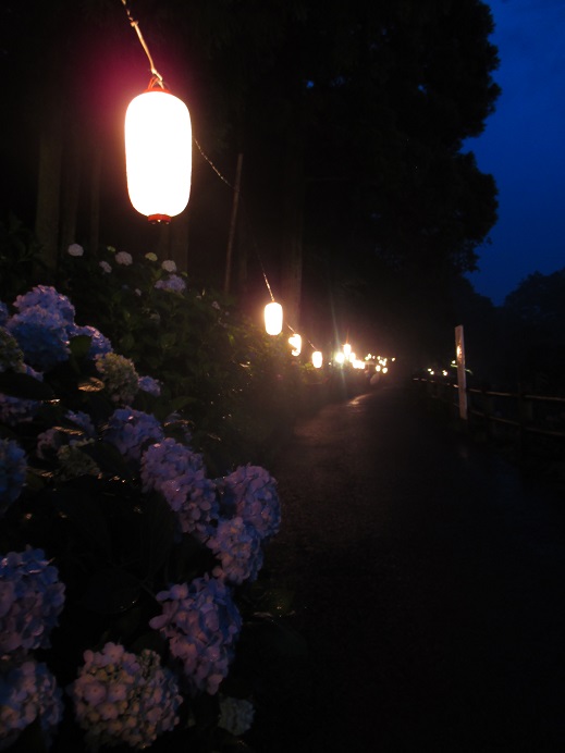 f:id:sasugami:20150706112949j:plain f:id:sasugami:20150706112949j:plain