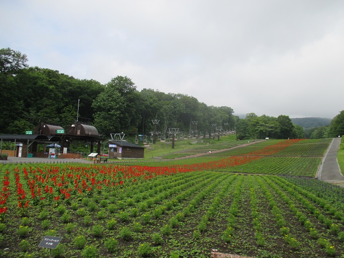 f:id:sasugami:20150706161619j:plain f:id:sasugami:20150706161619j:plain